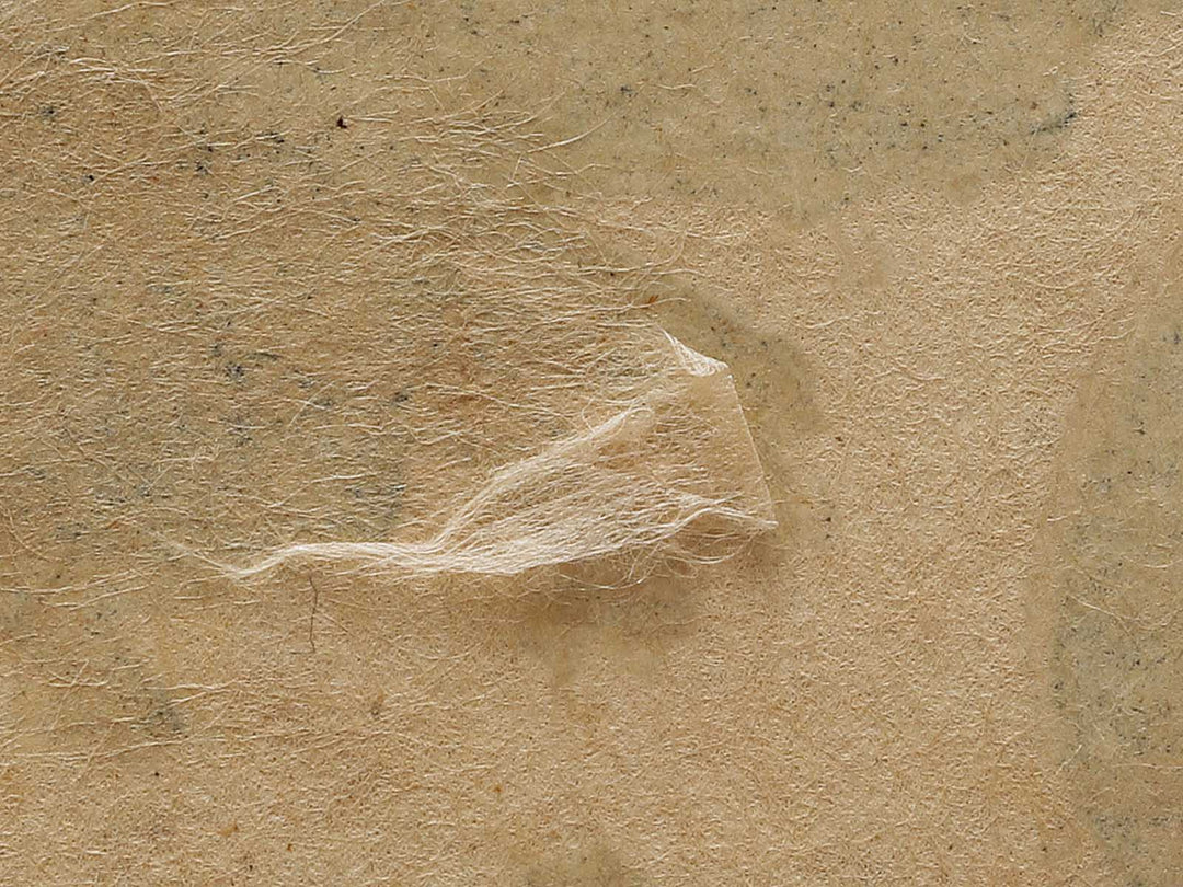 Seishin gekisen ikaiei kogeki no zu by Shurei / BJ337-568