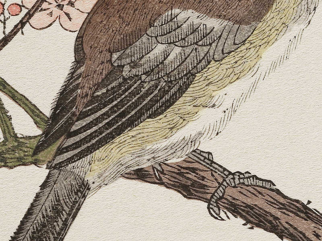 Hawk and Shrike from the series Momotidori kyoka awase by Kitagawa Utamaro, (Large print size) / BJ327-985