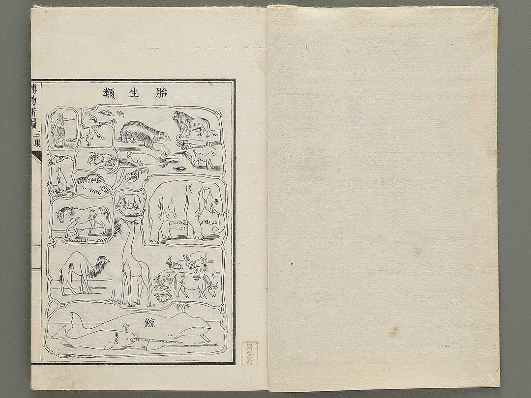 Hakubutsu Shinpen Volume 3 / BJ335-412