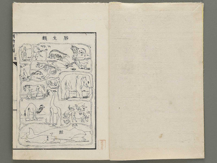 Hakubutsu Shinpen Volume 3 / BJ335-412