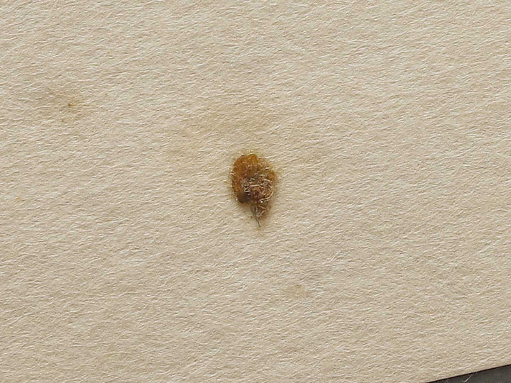 Suido Bridge and Suruga Hill from the series One Hundred Famous Views of Edo by Utagawa Hiroshige, (Large print size) / BJ337-120