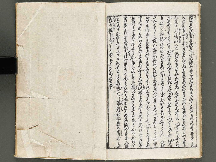 Chigusa no hana futatsu chocho / BJ326-802