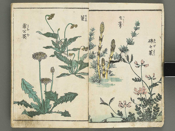 Soka e tehon by Keisai Eisen / BJ348-040