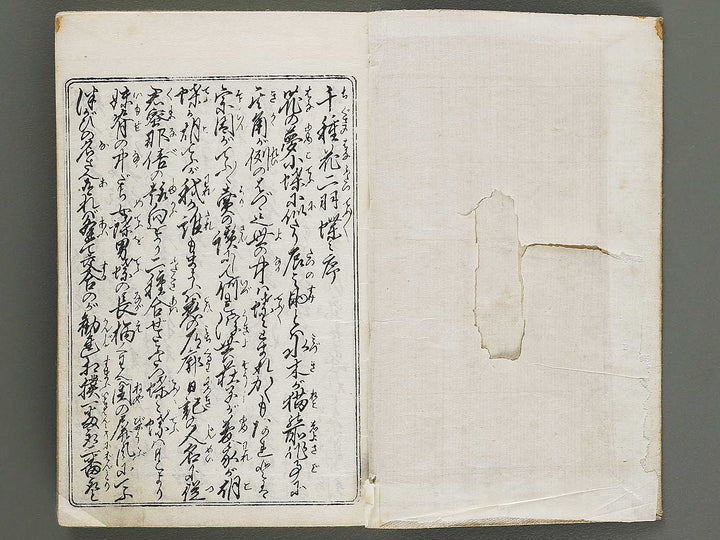 Chigusa no hana futatsu chocho by Utagawa-school / BJ316-183