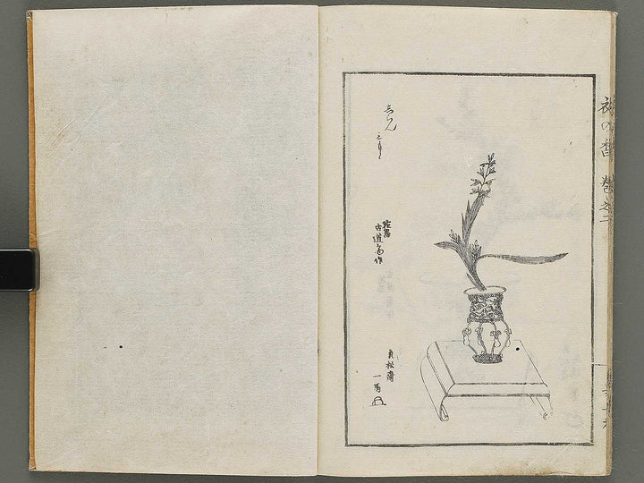 Soka koromonoka Volume 2 by Hishikawa Sori / BJ335-174