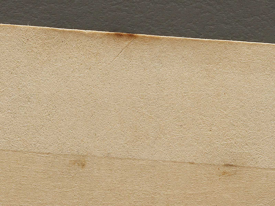 Dai yon from the series Nihon shinkei gafu by Yamada Shokei / BJ328-230