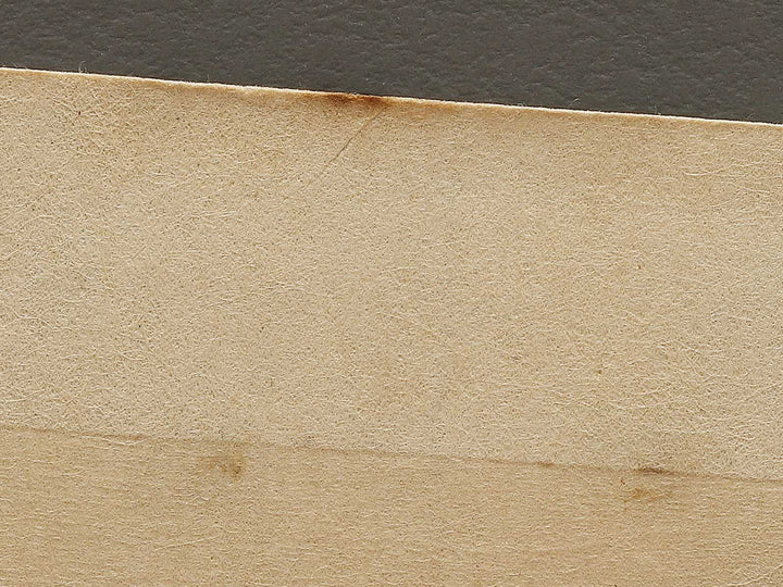 Dai yon from the series Nihon shinkei gafu by Yamada Shokei / BJ328-230