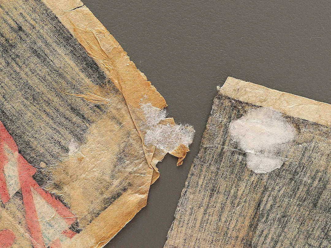 Ryogoku suijinsai yusuzumi no kei by Yoshu Chikanobu / BJ324-135