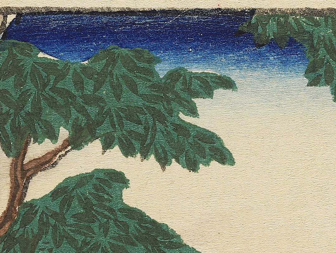 Kegon no taki from the series Nikko meisho junikei no uchi by Hasegawa Chikuyo / BJ343-399
