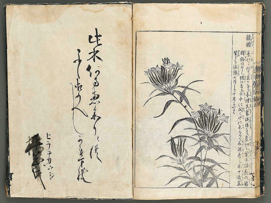 Ehon oushukubai Volume 5 by Tachibana Morikuni / BJ327-691