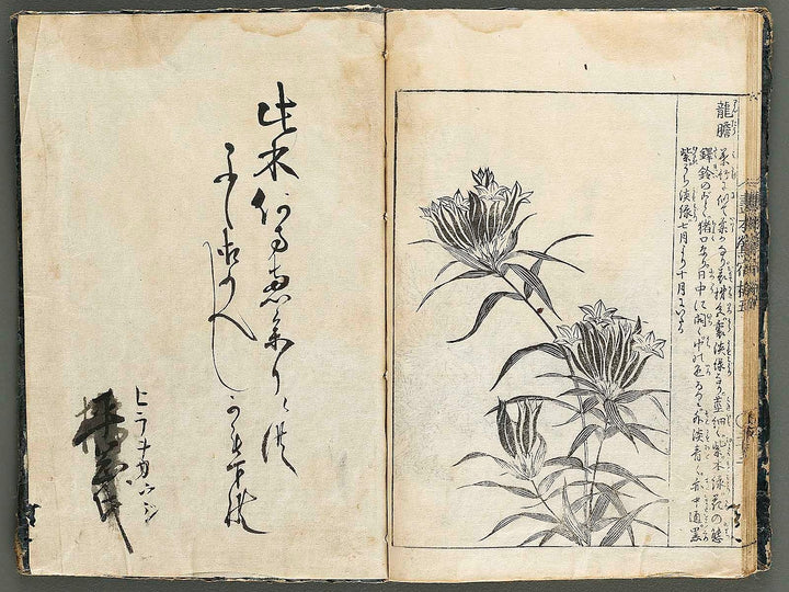 Ehon oushukubai Volume 5 by Tachibana Morikuni / BJ327-691