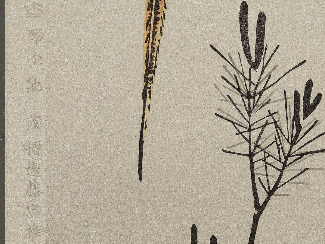 Secchu komatsu ni nishikikiji by Utagawa Hiroshige, (Medium print size) / BJ328-104