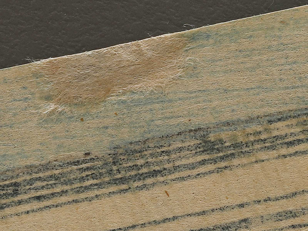 Hiramatsucho Uosen from the series 36 Restaurants in Sweet Spring by Ochiai Yoshiiku / BJ326-424