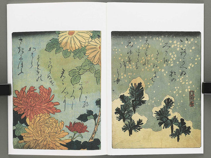 Renjo iro shiki shi Chi (Part 2 of 3) by Koikawa Shozan (Insuitei) / BJ346-640
