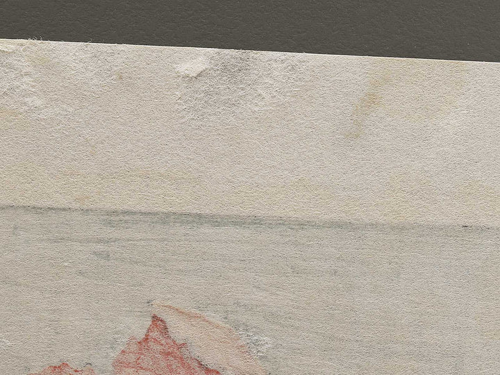 A poppy by Katsushika Hokusai, (Medium print size) / BJ321-734