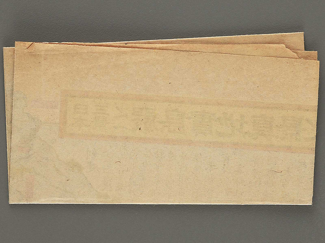 Nihon sankei no uchi itsukushima jicchi shinkei no zu by Numata Eizaburo / BJ354-214