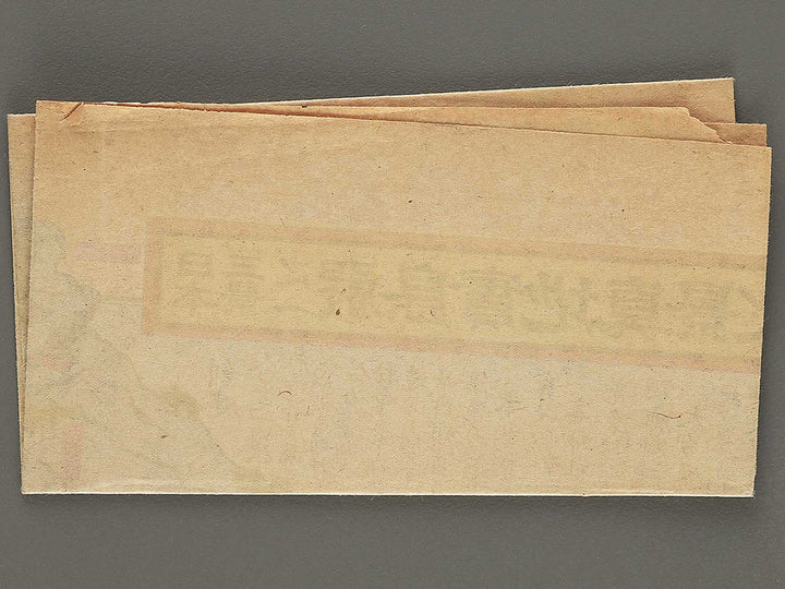 Nihon sankei no uchi itsukushima jicchi shinkei no zu by Numata Eizaburo / BJ354-214