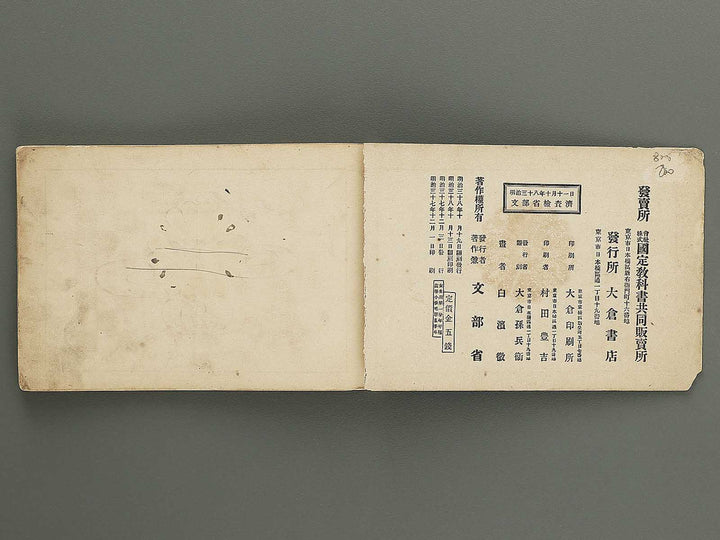 Koto shogaku mohitsuga tehon / BJ349-349