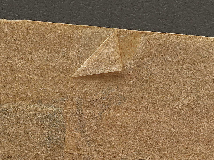 Saito betto Sanemori from the series Genpei eiyu kurabe by Utagawa Yoshikazu / BJ337-813