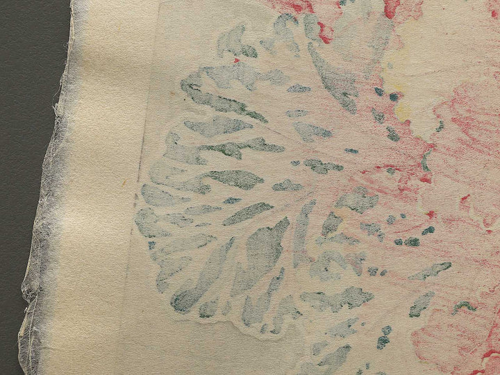 Habotan by Kawarazaki Shodo, (Large print size) / BJ346-269