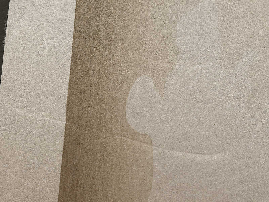 Under the Wave off Kanagawa , also known as The Great Wave off Kanagawa from the series Thirty-six Views of Mount Fuji by Katsushika Hokusai, (Medium print size) / BJ326-382