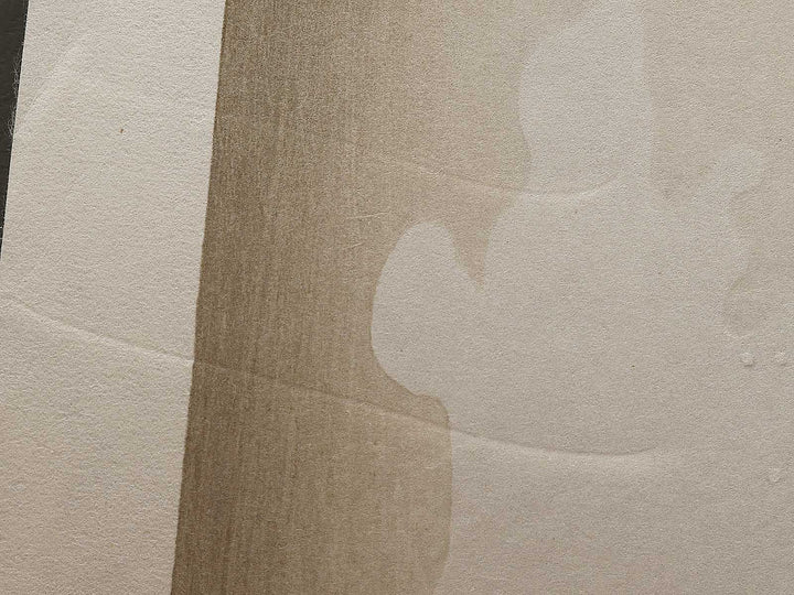 Under the Wave off Kanagawa , also known as The Great Wave off Kanagawa from the series Thirty-six Views of Mount Fuji by Katsushika Hokusai, (Medium print size) / BJ326-382