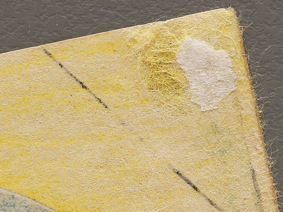 Tsuki gasashi from the series Tosei mitate juroku musashi by Toyohara Kunichika / BJ331-394