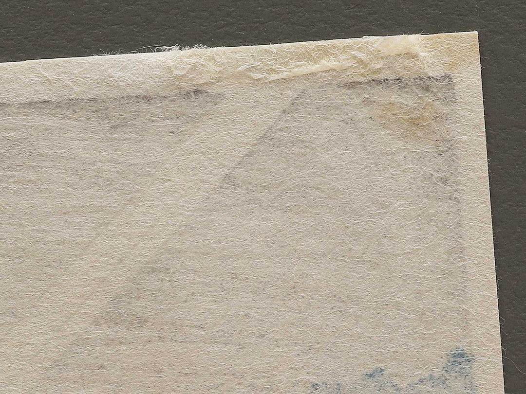 Sumida river in Musashi province from the series Shokoku meisho by Totoya Hokkei, (Medium print size) / BJ326-963