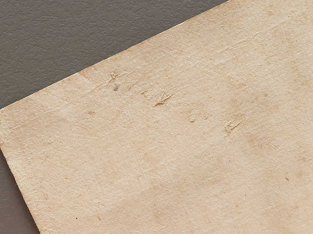 Kasuga ryujin from the series Nogaku zue by Tsukioka Kogyo / BJ331-590