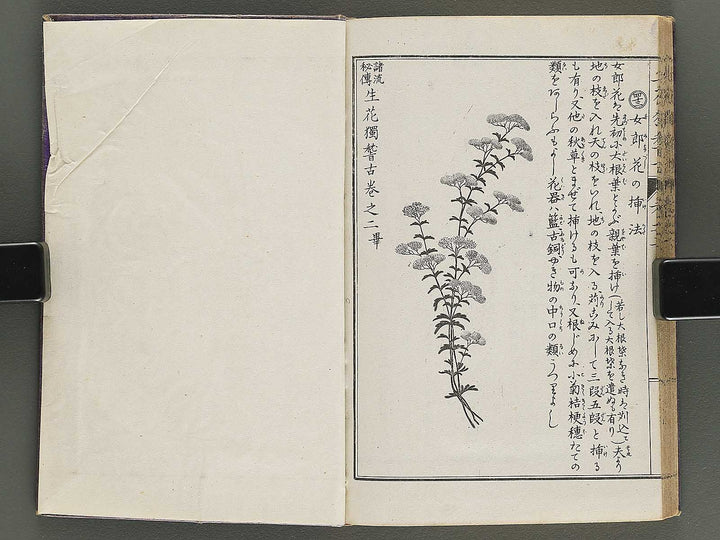 Shoryu hiden ikebana hitorigeiko Volume 2 / BJ347-935