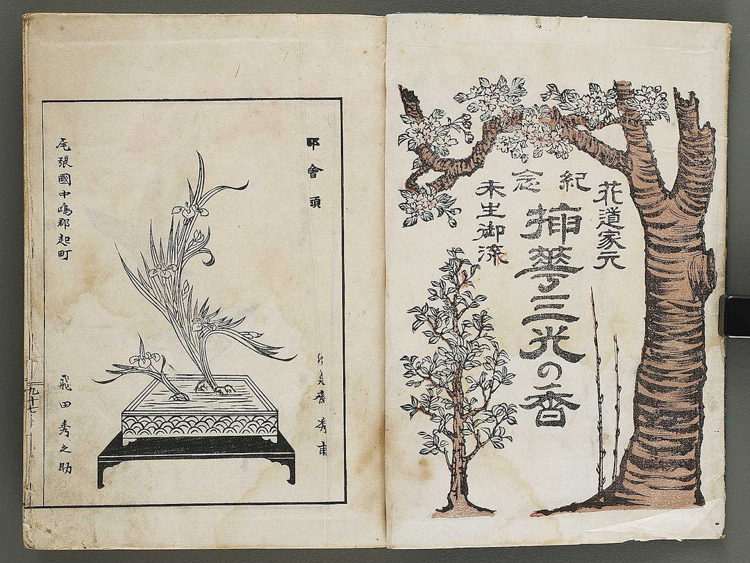 Kinen soka sanko no kaori (Ge) by Sawamura Riho / BJ324-688