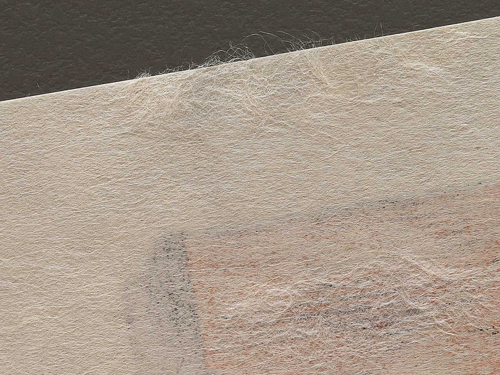 Komagata Hall and Azuma Bridge from the series One Hundred Famous Views of Edo by Utagawa Hiroshige, (Large print size) / BJ336-854