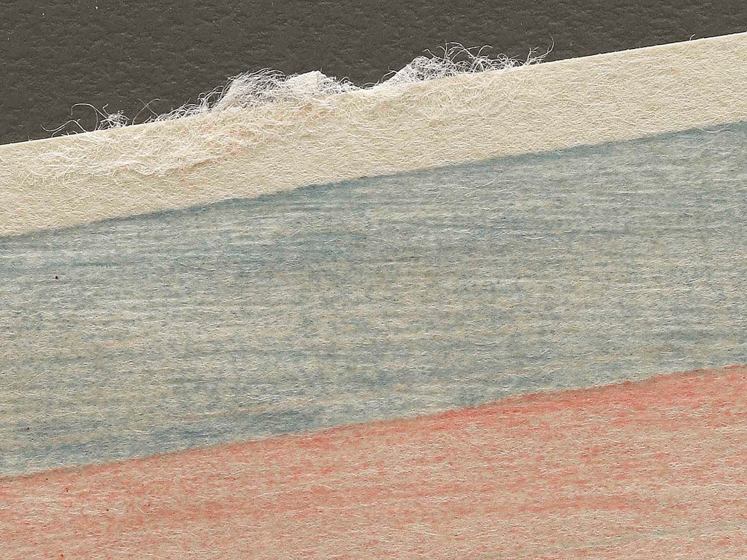 Edo meisho Ueno Niomon no zu by Utagawa Toyoharu, (Medium print size) / BJ330-463