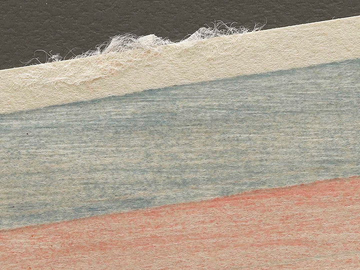 Edo meisho Ueno Niomon no zu by Utagawa Toyoharu, (Medium print size) / BJ330-463