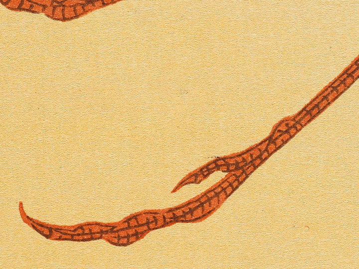 Konotori by Katsushika Hokusai, (Medium print size) / BJ319-634