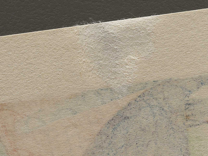 Plum Garden, Kamata from the series One Hundred Famous Views of Edo by Utagawa Hiroshige, (Large print size) / BJ337-190