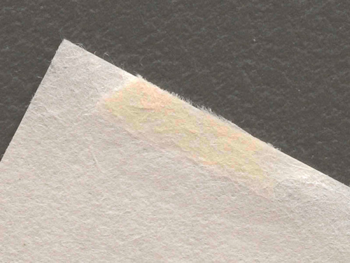 Abuna-e by Maruyama Okyo / BJ224-714