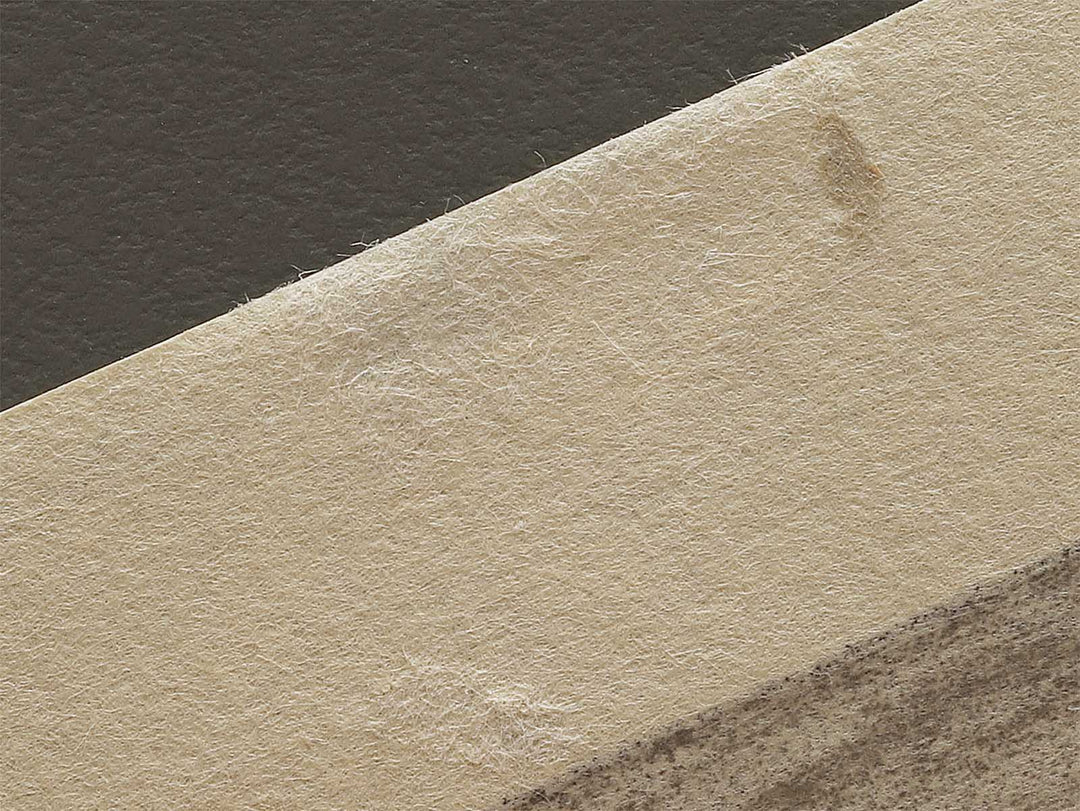 A cormorant stands resolute at the head of a rock by the sea by Katsushika Hokusai, (Medium print size) / BJ325-017