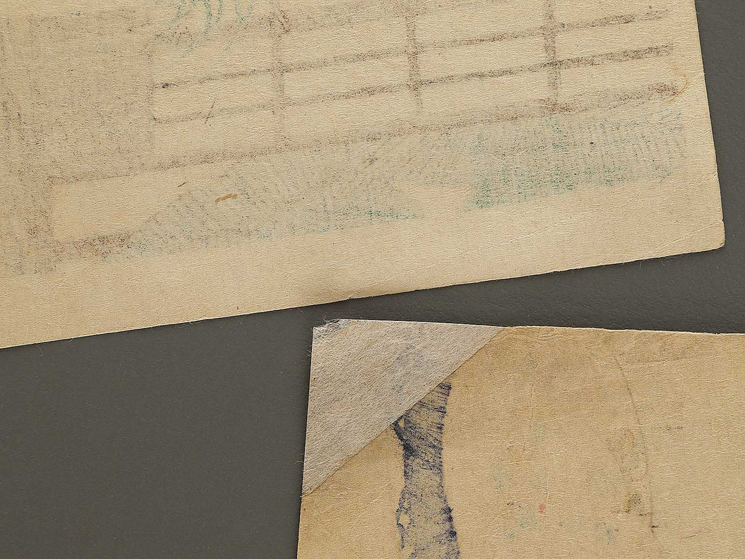 Yojo reishiki  kyoiku no zu by Yoshu Chikanobu / BJ325-941