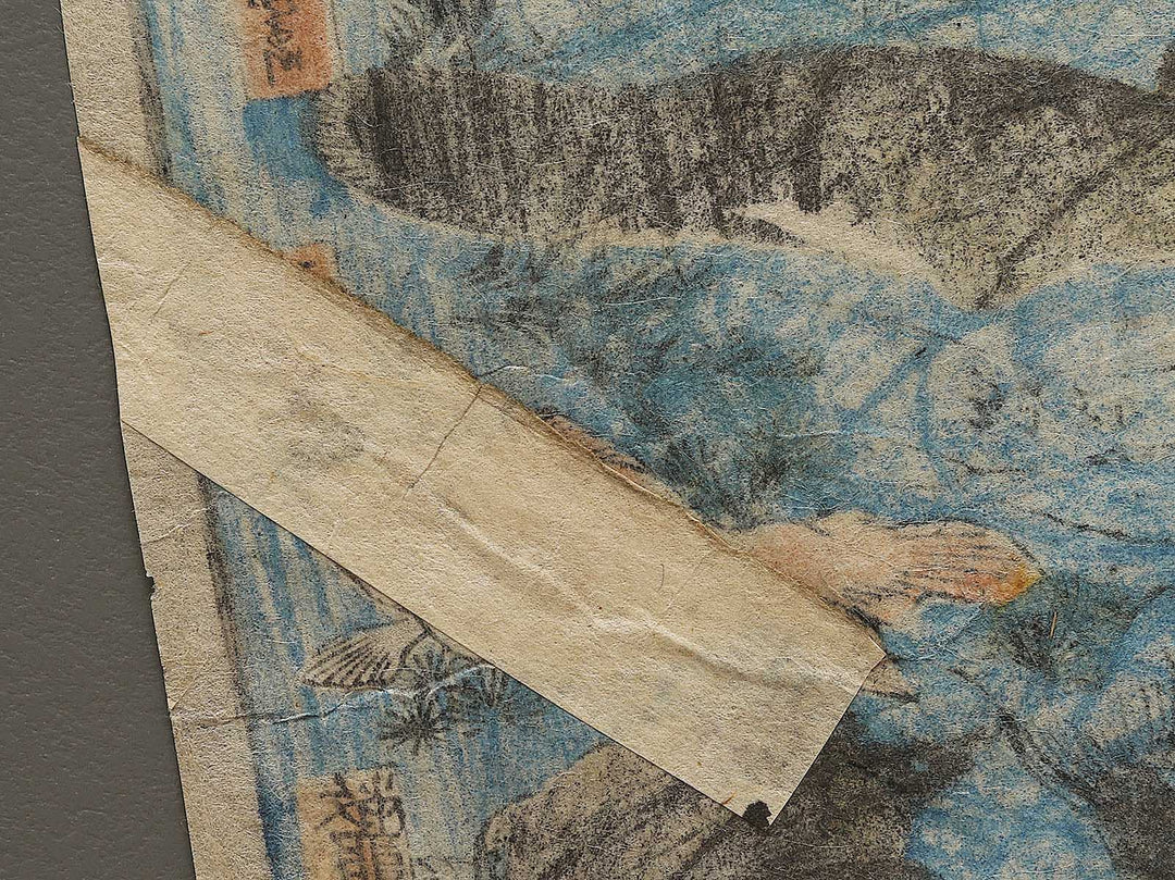 Sakana zukushi / BJ325-836