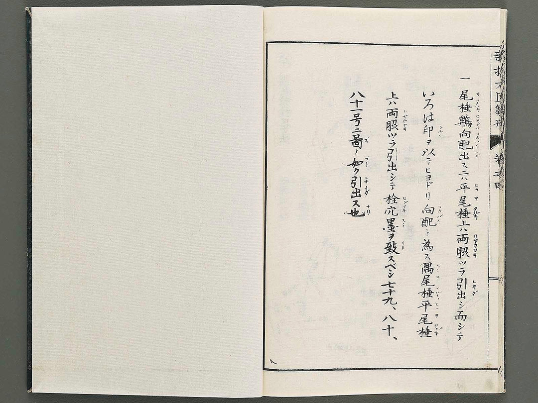 Shinsen taisho hinagata taizen Volume 4 / BJ324-114