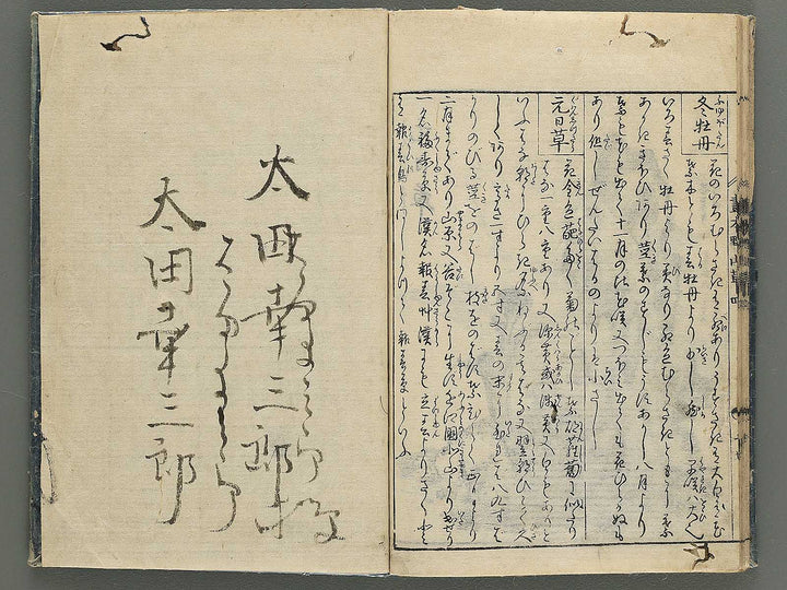 Gahon noyama gusa Volume 4 / BJ346-332
