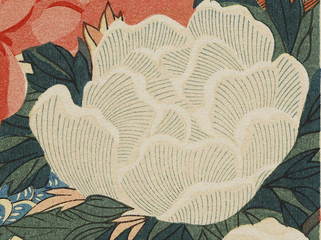 Paeony & Peacock by Utagawa Hiroshige, (Medium print size) / BJ328-181