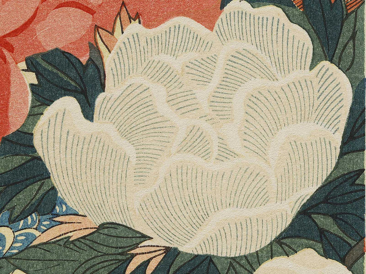 Paeony & Peacock by Utagawa Hiroshige, (Medium print size) / BJ328-181