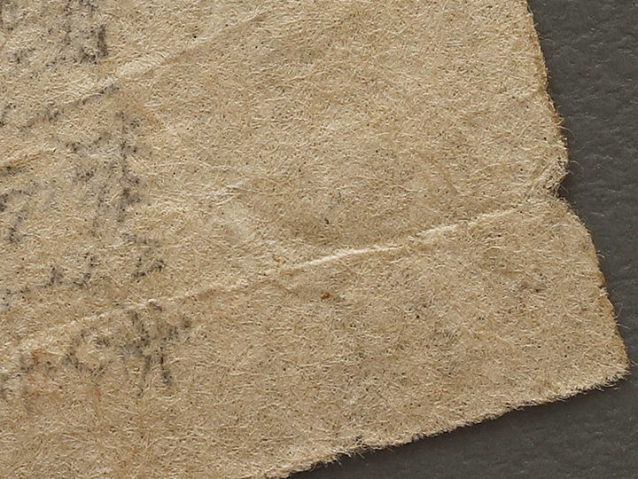 Chosokabe Yasaburo Nobuchika from the series Heroes of the Great Peace by Ochiai Yoshiiku / BJ333-396