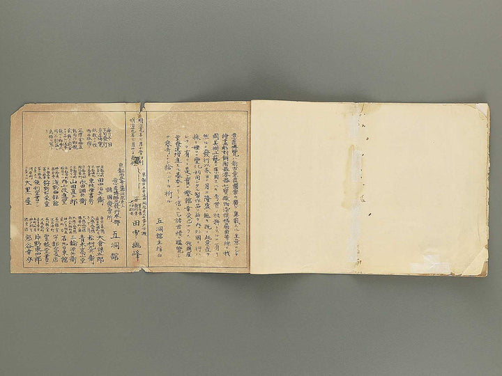 Isho hakuran (Dai 3nen, 7kan) by Tanaka Yuho / BJ353-339