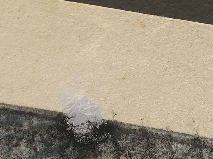 Ueno sanmon from Tokyo meisho zue by Utagawa Hiroshige III / BJ339-507