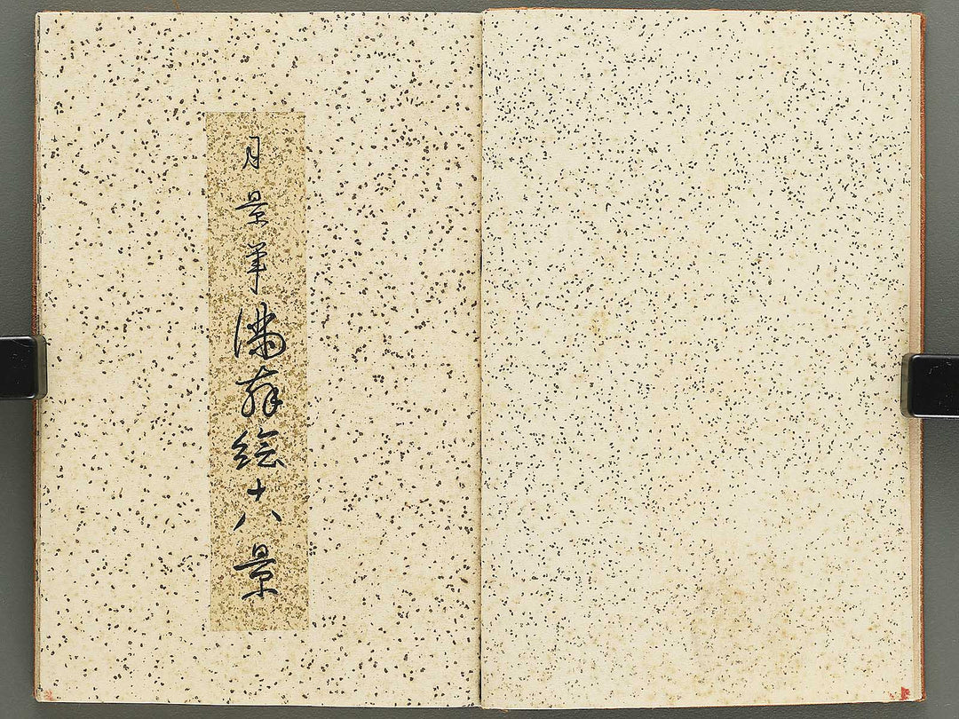 Shunga / BJ348-243