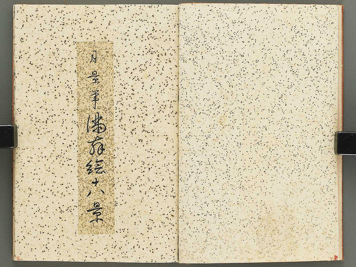 Shunga / BJ348-243
