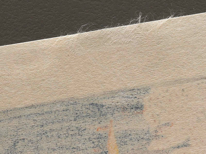 Flower Pavilion, Dango Slope, Sendagi from the series One Hundred Famous Views of Edo by Utagawa Hiroshige, (Large print size) / BJ336-882